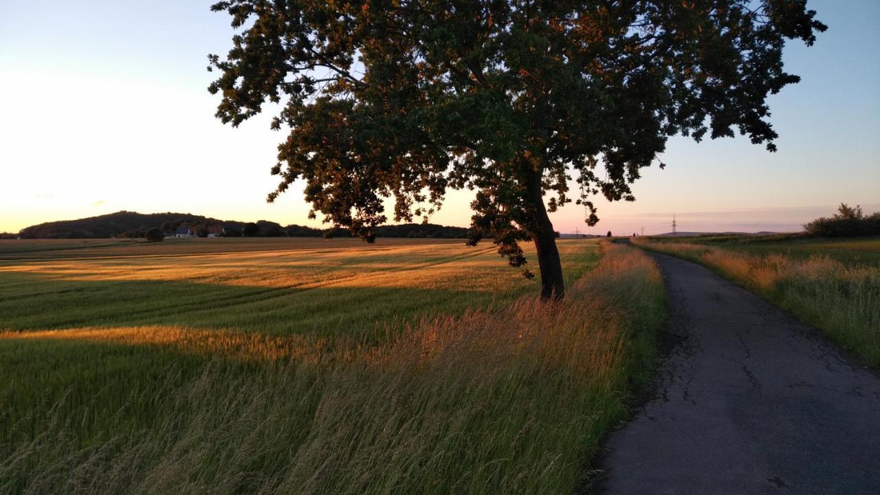 Ferienwohnung Twete Detmold Buitenkant foto